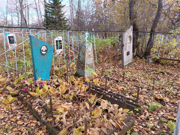 Маркитанов Владимир Маркович