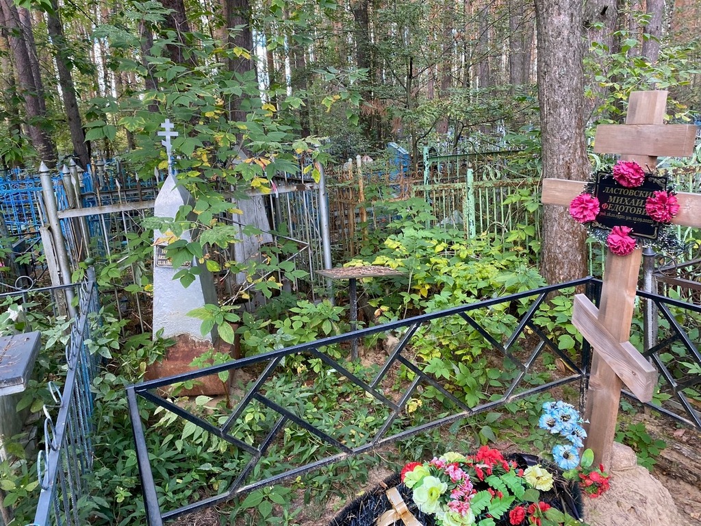Николаев Александр Васильевич