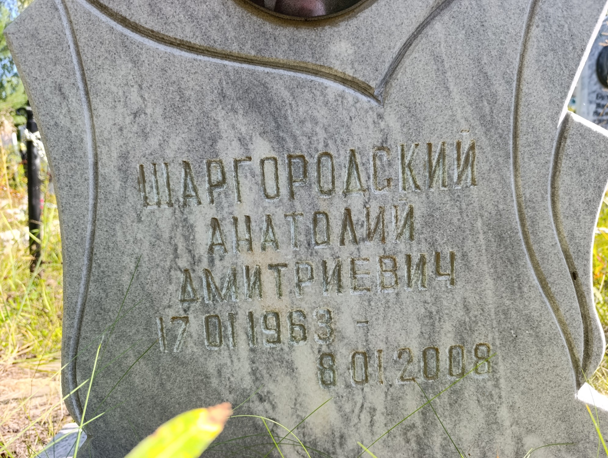 Шаргородский Анатолий Дмитриевич