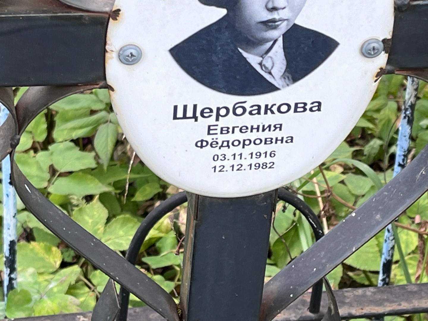 Щербакова Евгения Федоровна