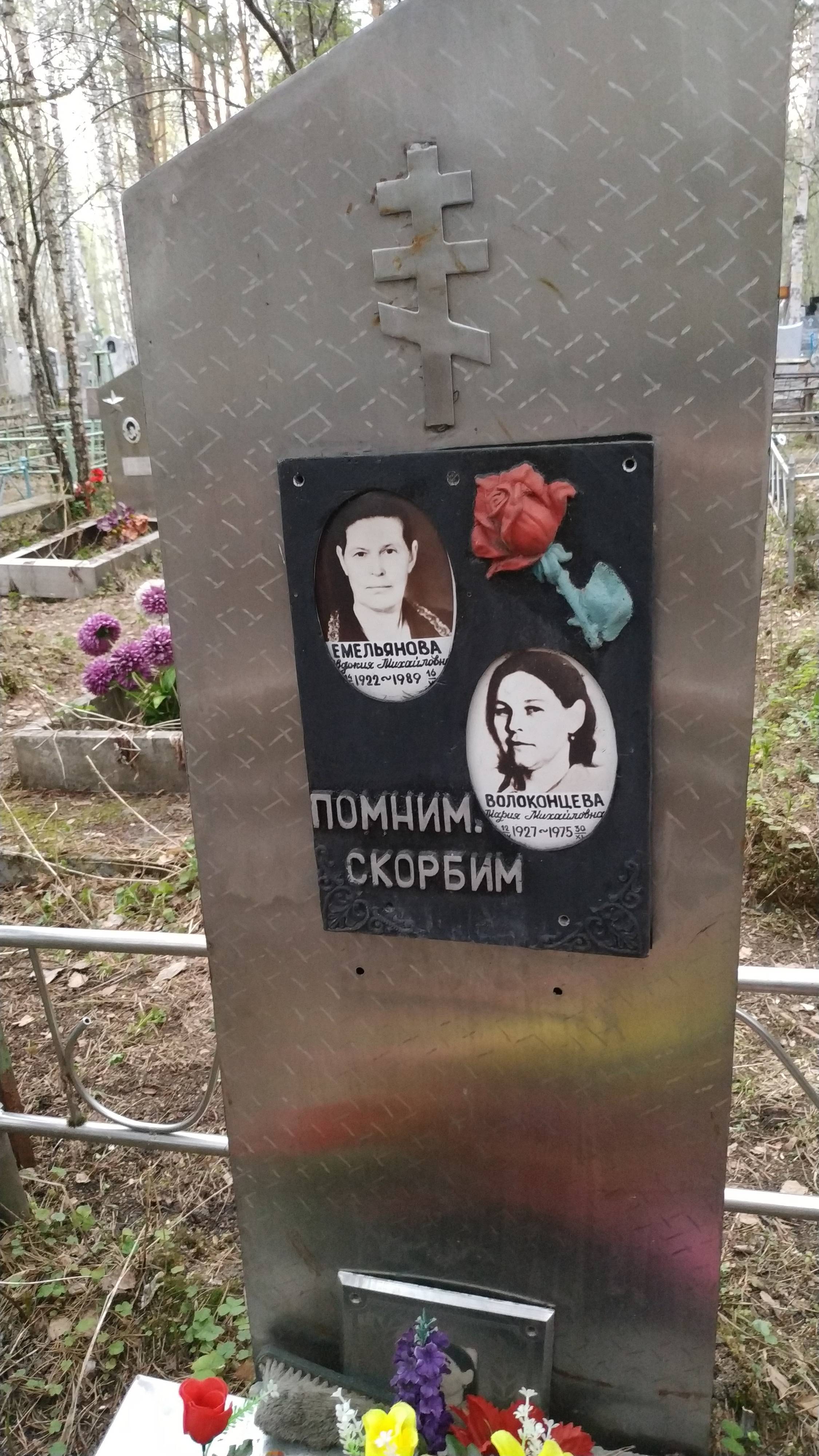 Волоконцева Мария Михайловна