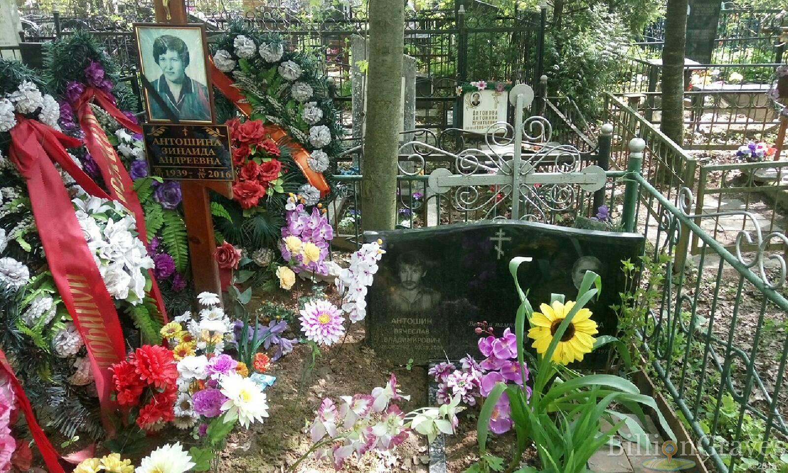 антошина зинаида андреевна