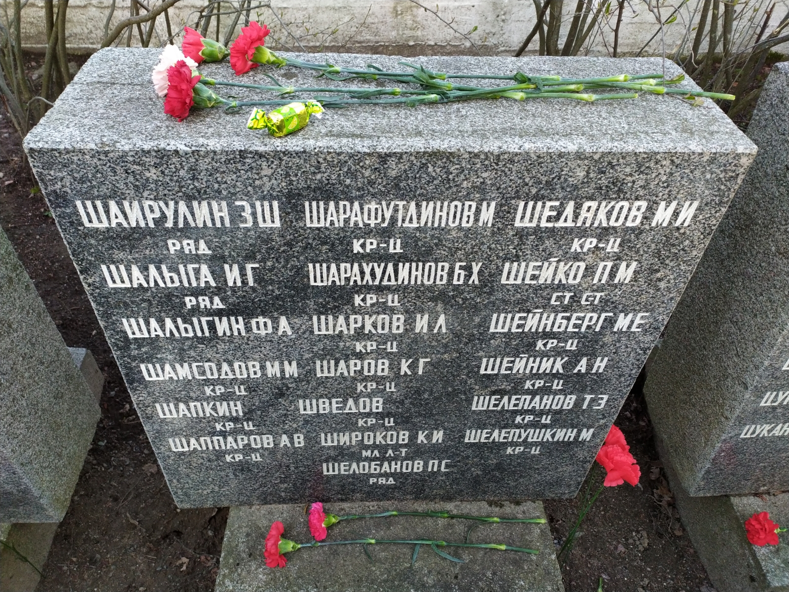 Шамсодов Михаил Михайлович