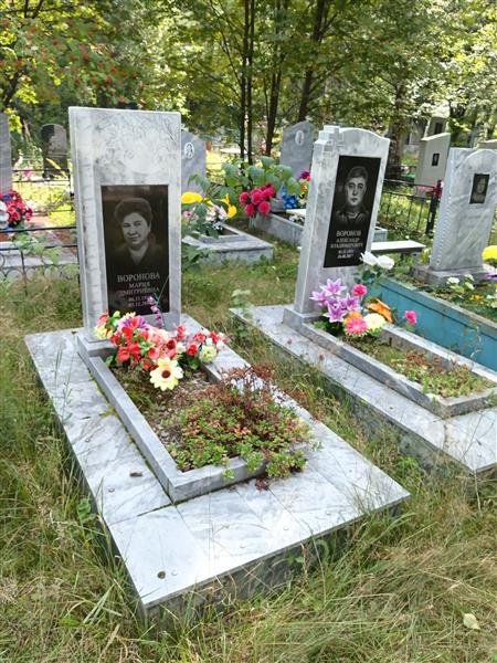 Воронов Александр Владимирович