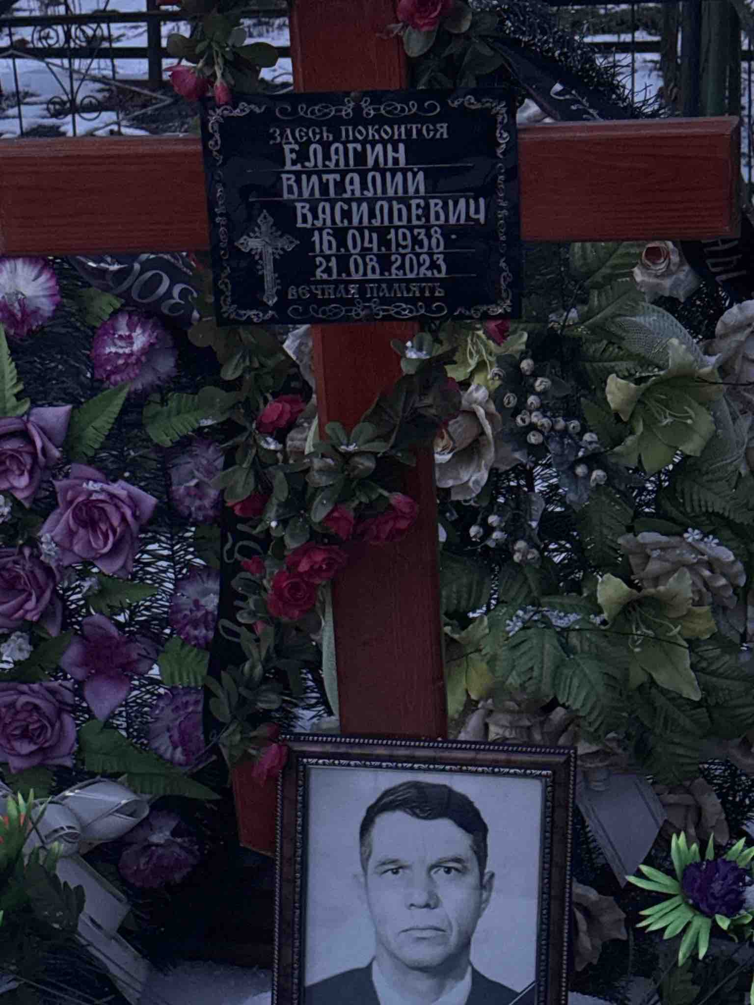 Елагин Виталий Васильевич