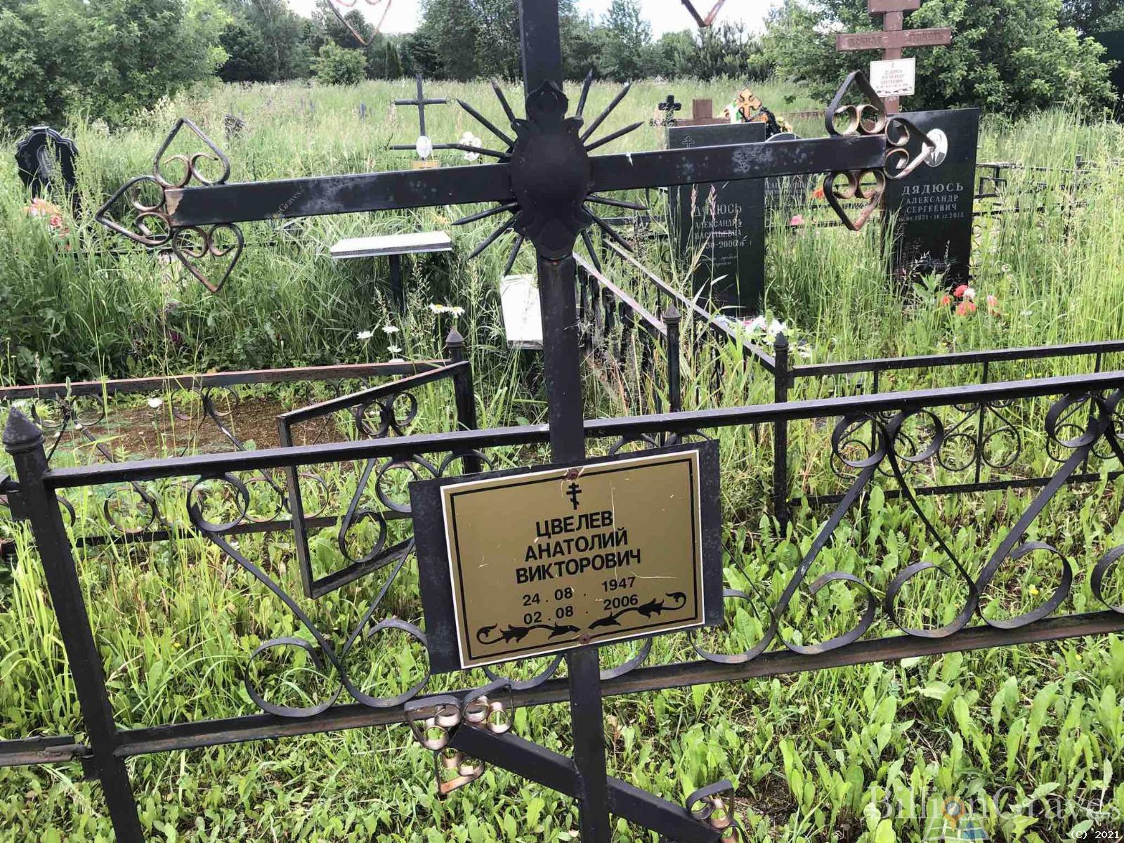Цвелев Анатолий Викторович
