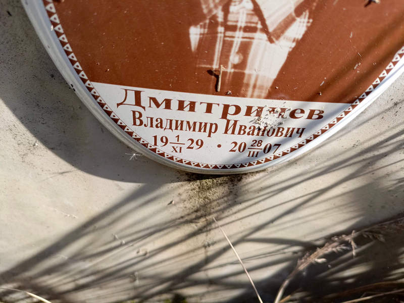 Дмитричев