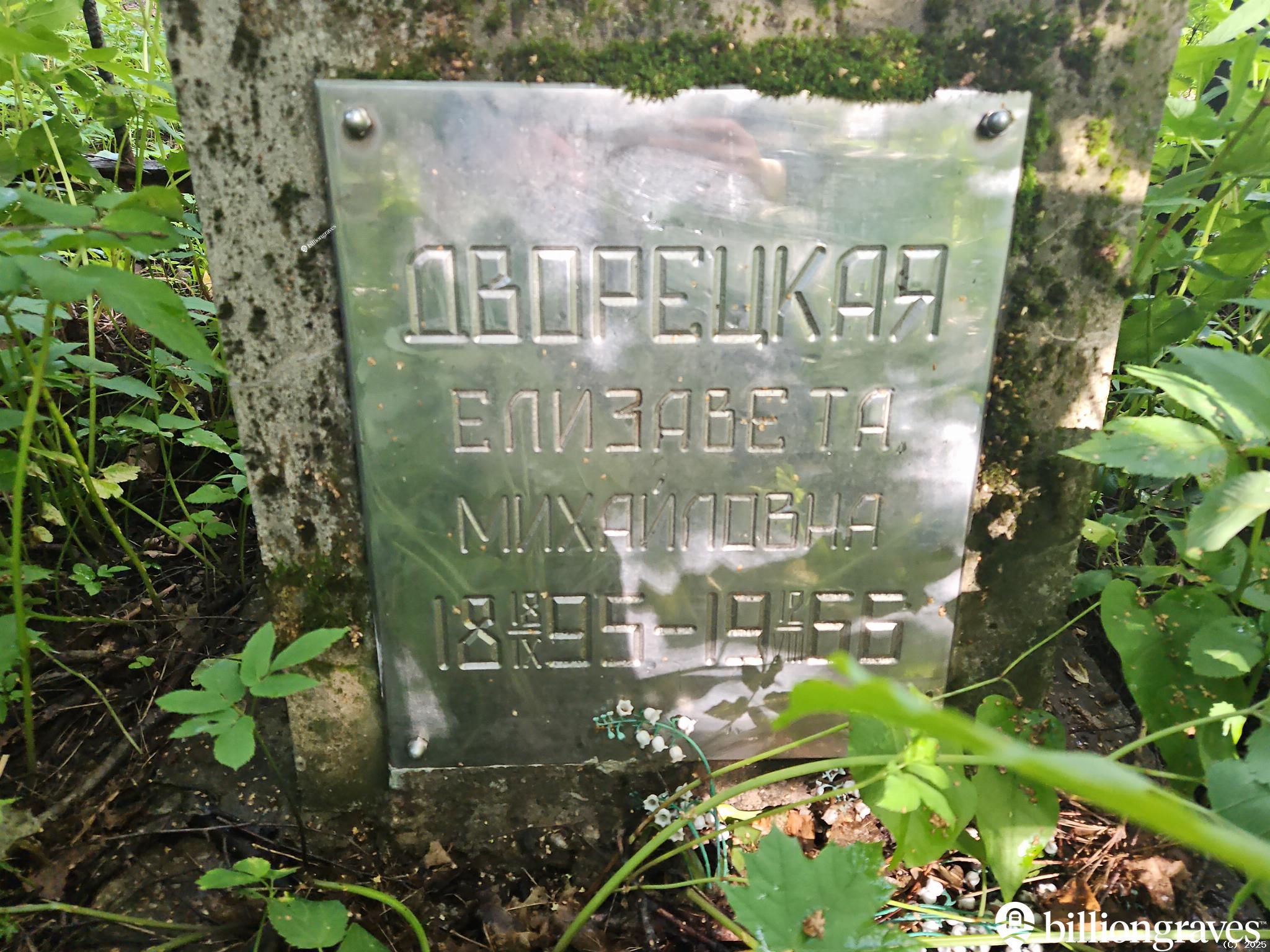 Дворецкая Елизавета Михайловна