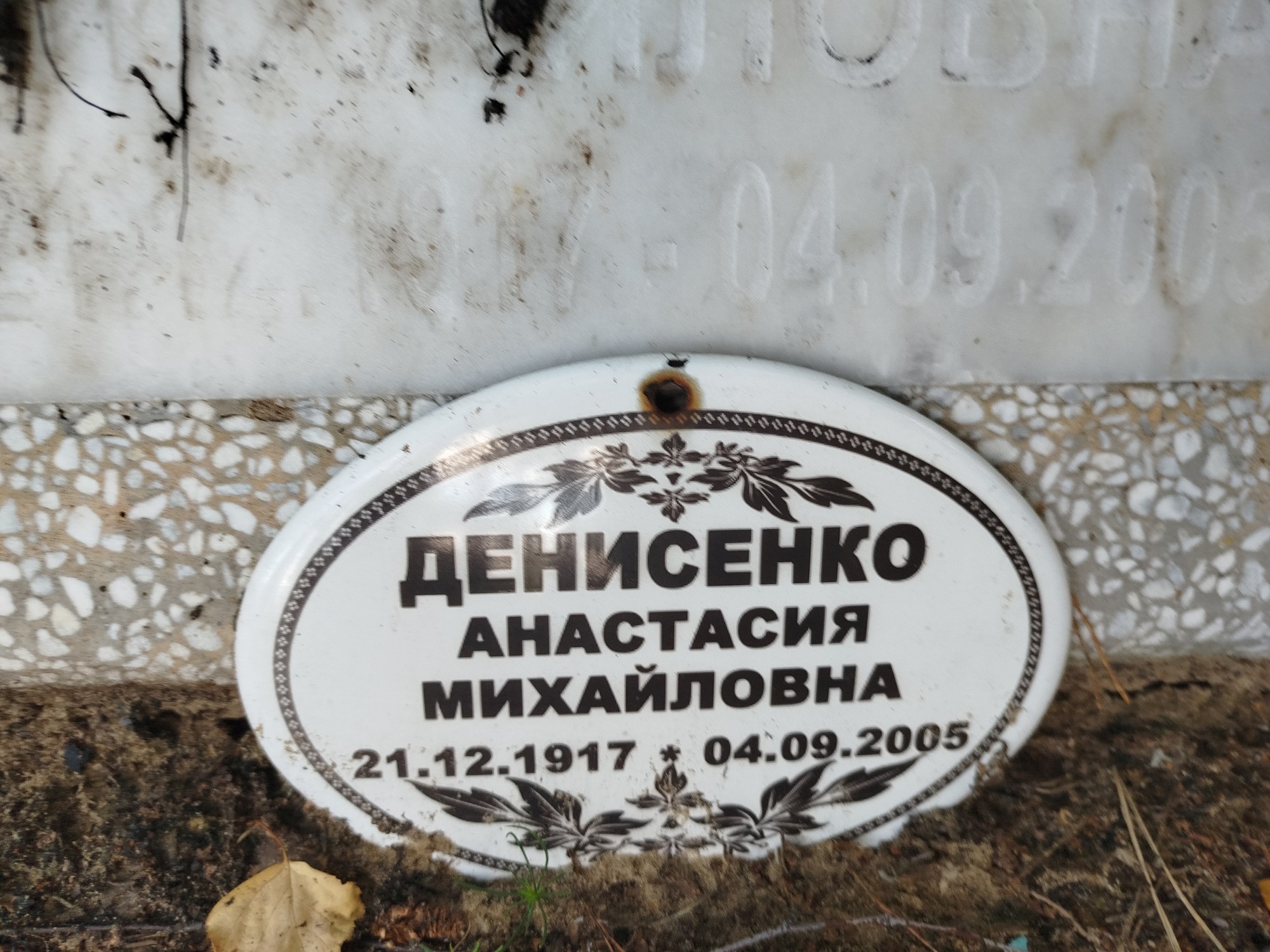 Денисенко Анастасия Михайловна