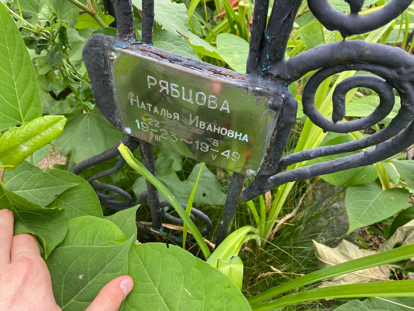 Рябцова