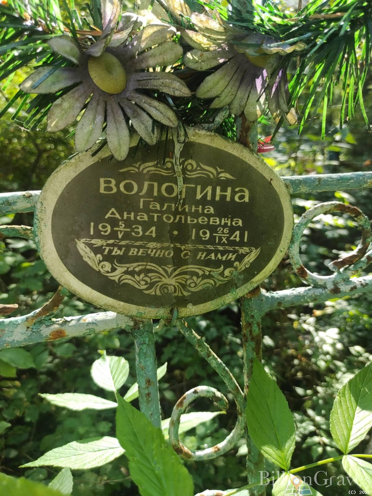 Вологина Галина Анатольевна