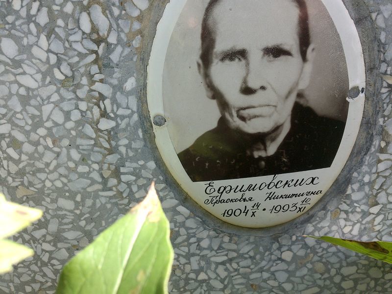 Ефимовских Прасковья Никитична