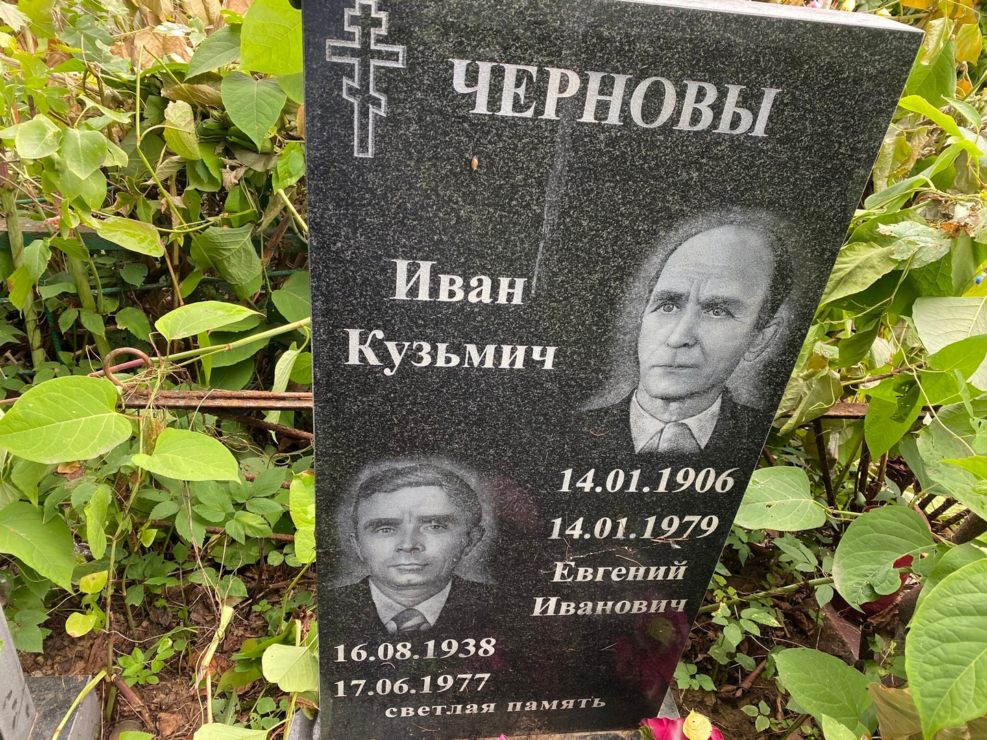 Чернов