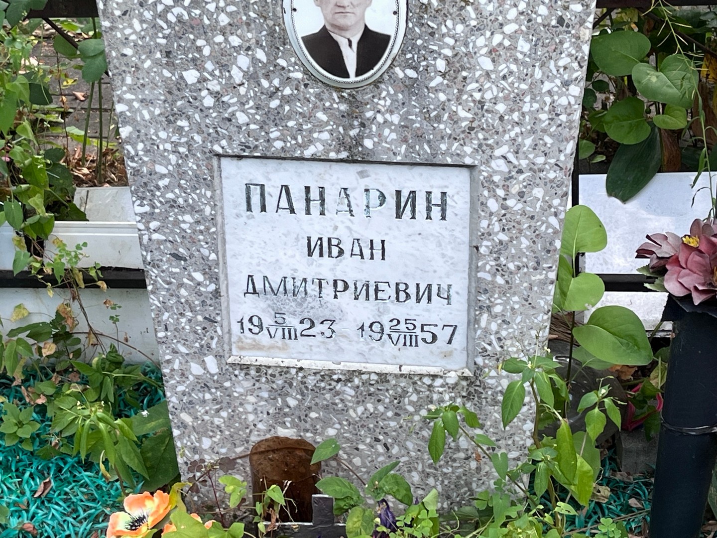 Панарин