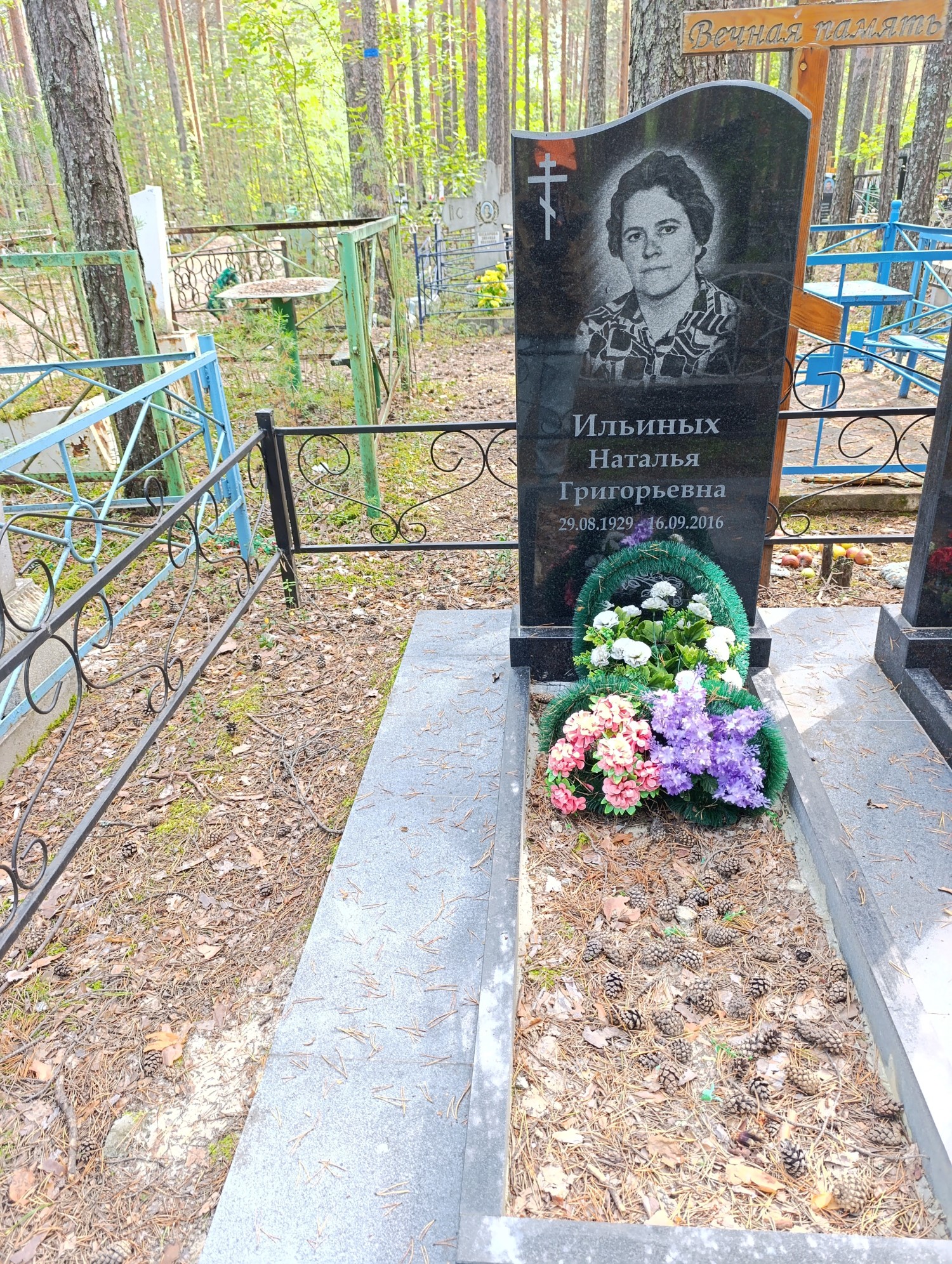Ильиных Наталья Григорьевна