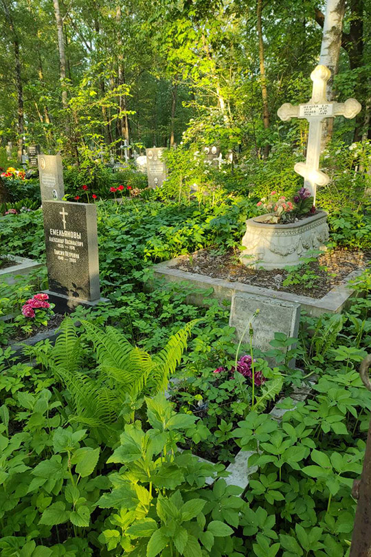 Емельянова Евдокия Михайловна