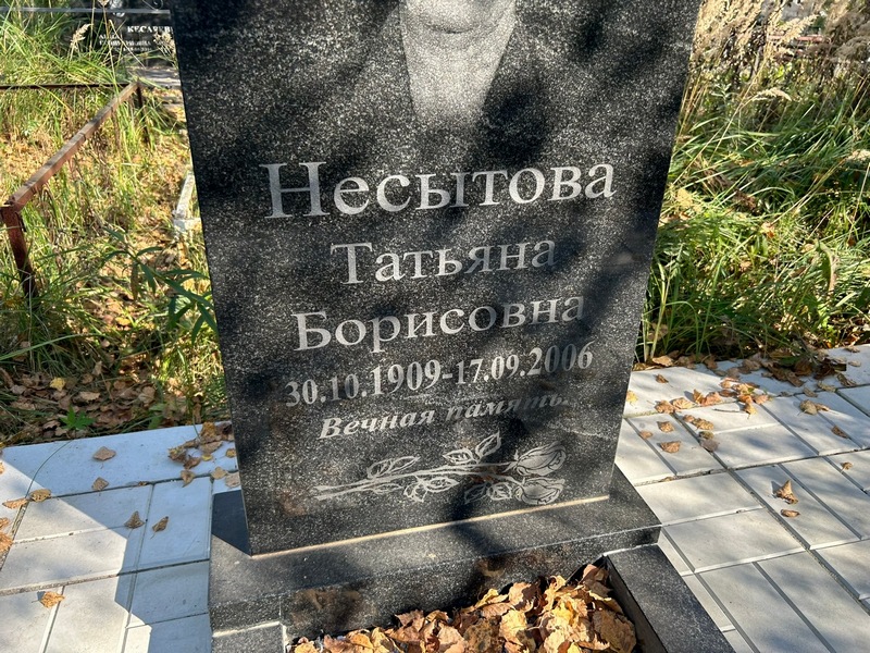 Несытова