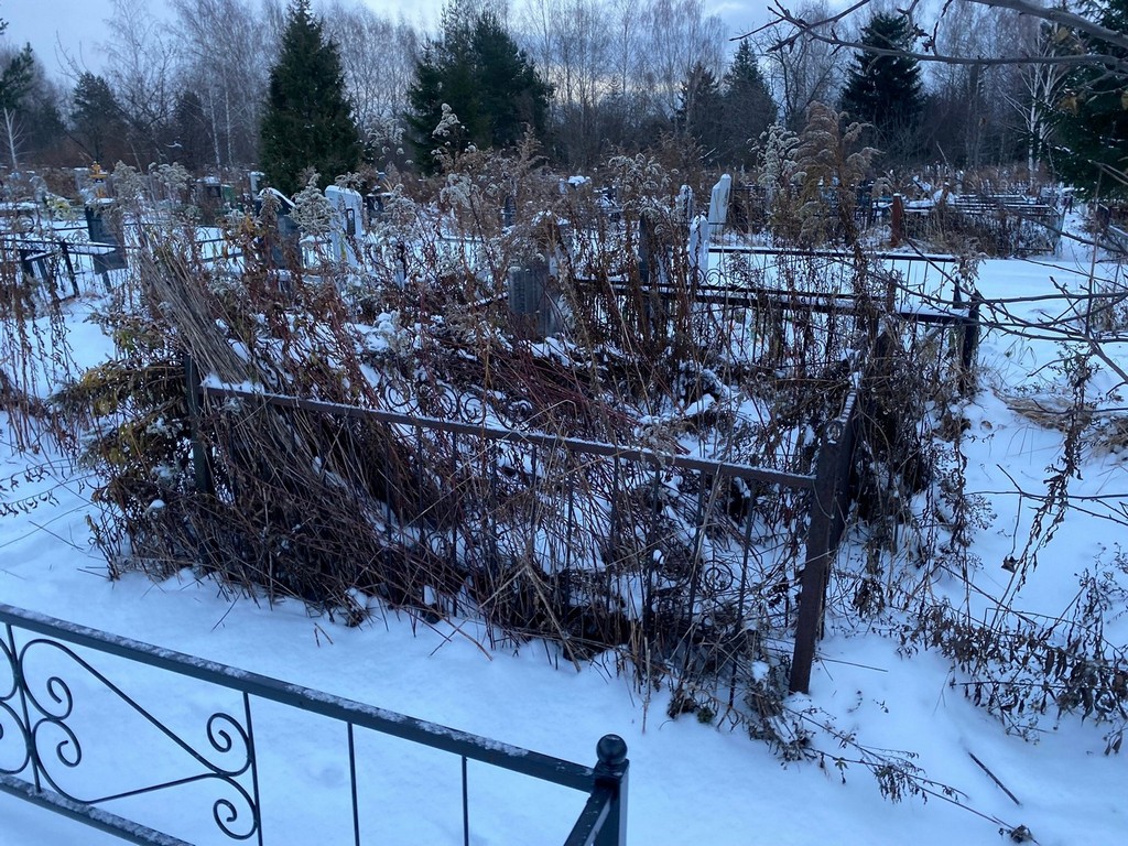Талишникова Ксения Ивановна