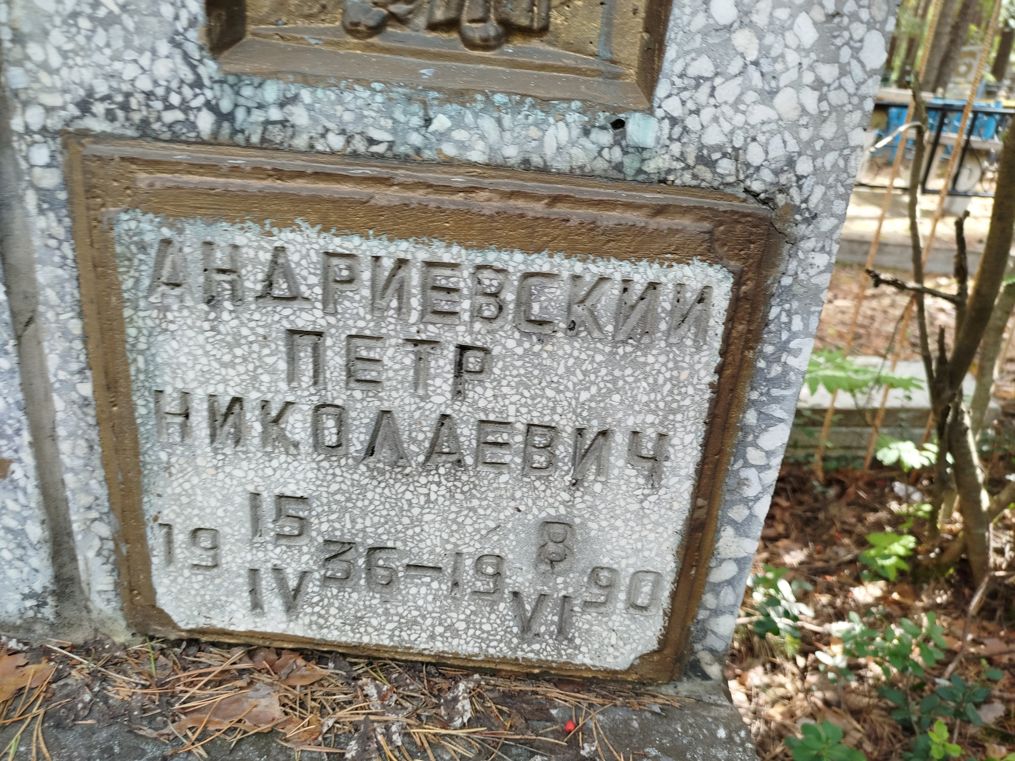 Андриевский Петр Николаевич