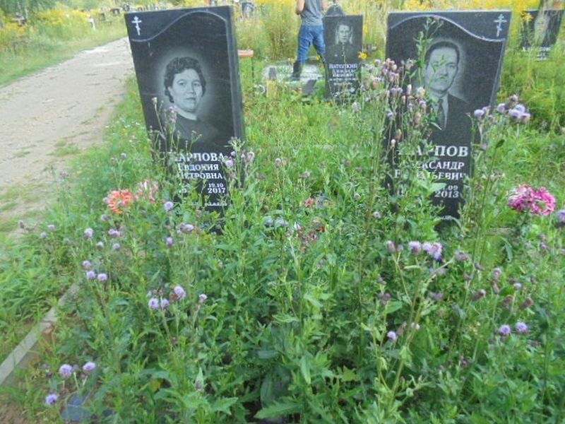 Карпова Евдокия Петровна