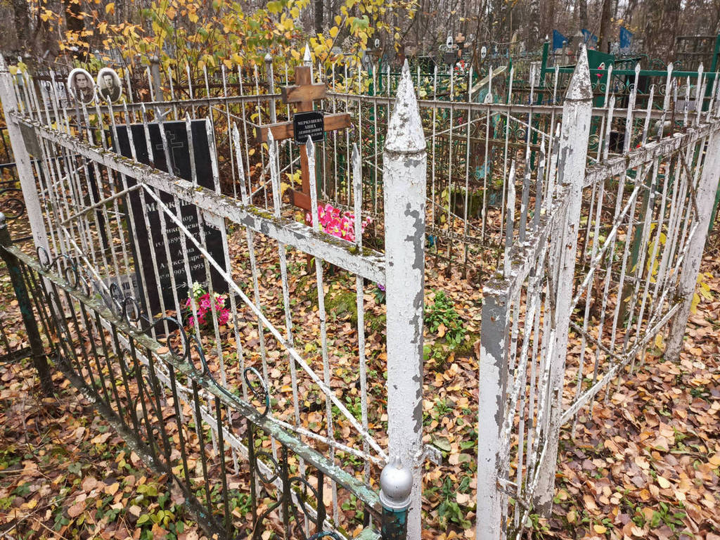 Меркушев Федор Николаевич