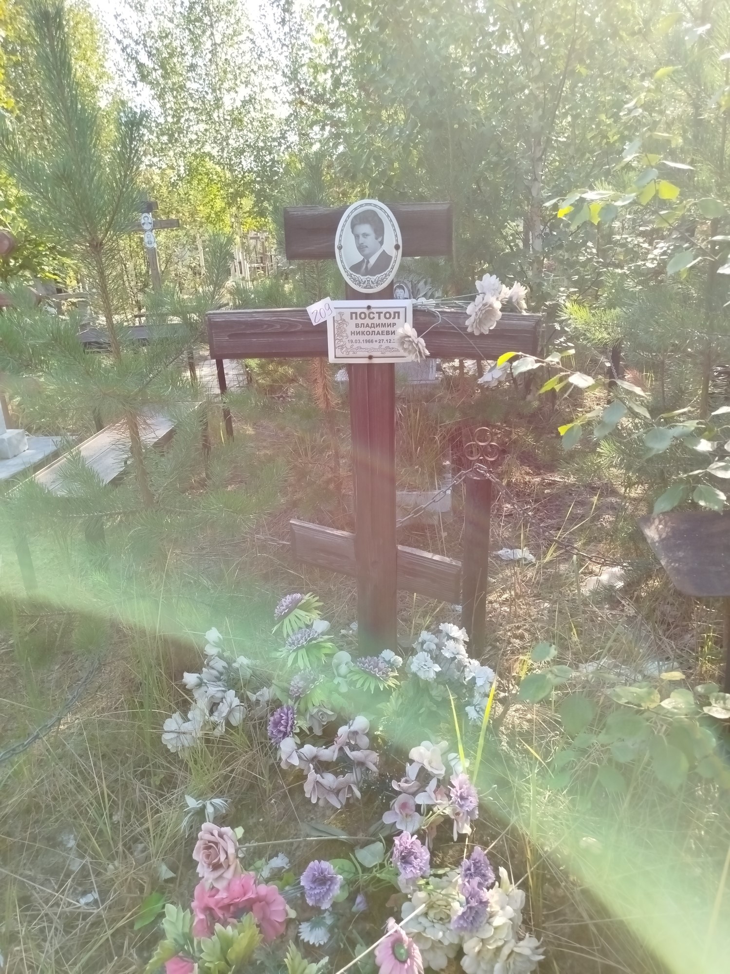 Постол Владимир Николаевич