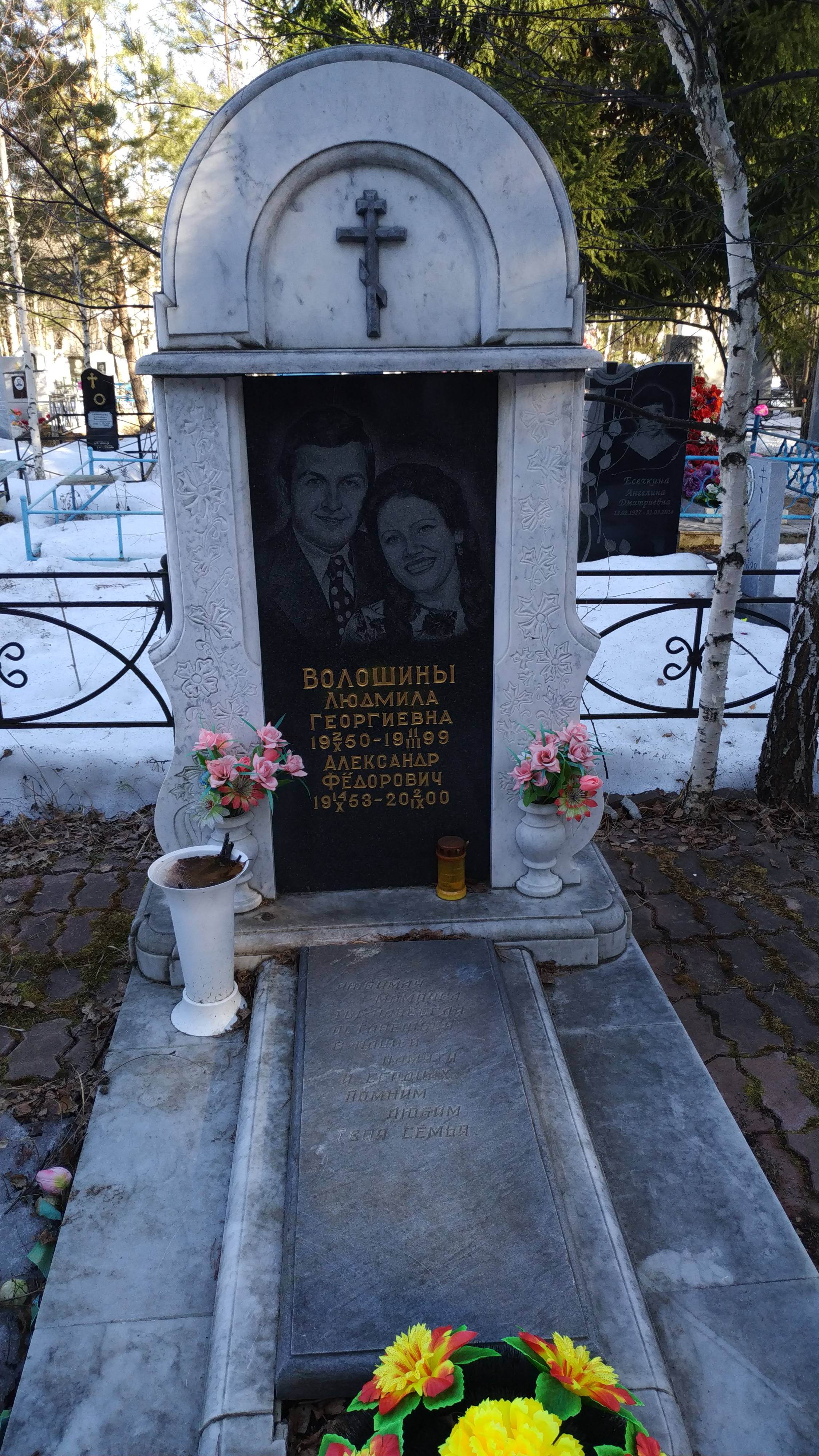 Волошин Александр Федорович
