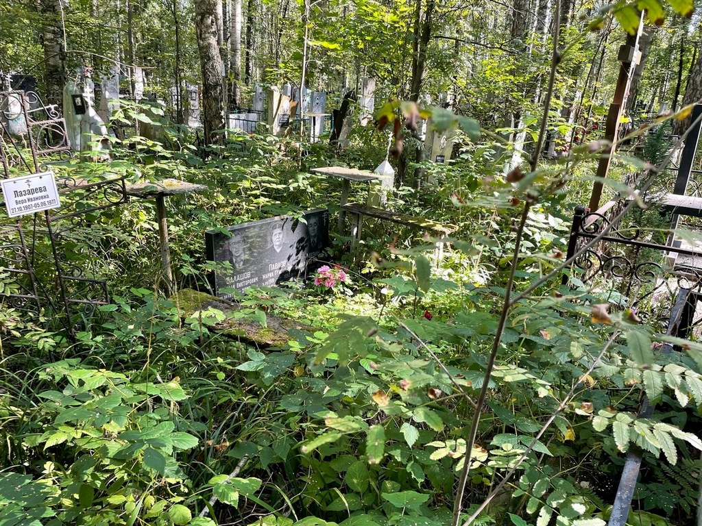 Балашов Николай Викторович