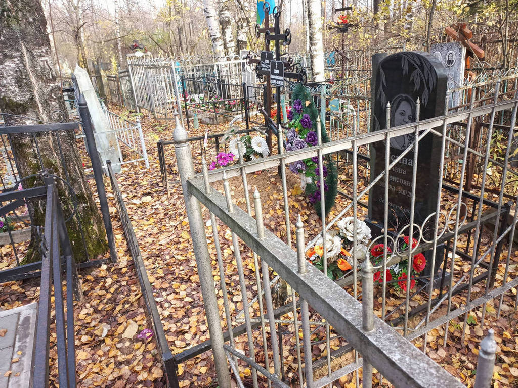 Есина Анна Борисовна