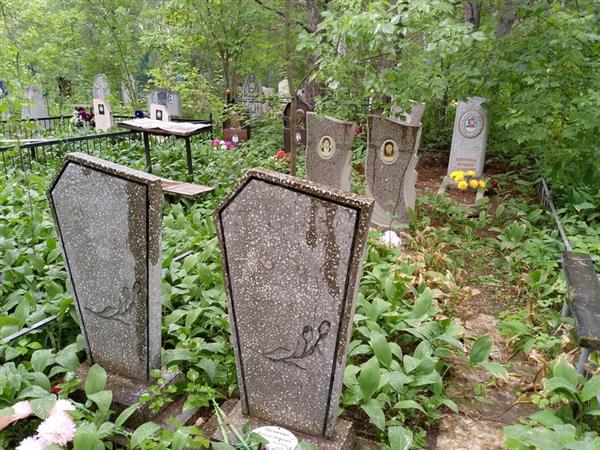 Проненко Виталий Яковлевич