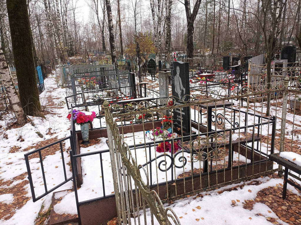 Миронычев Николай Степанович