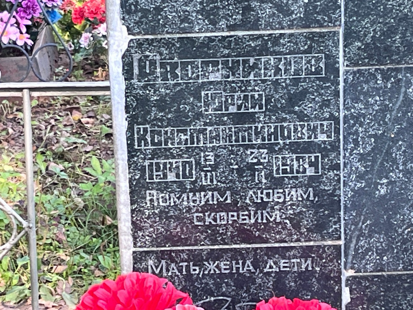 Дворников