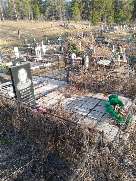 Шиленко Валерий Никитович