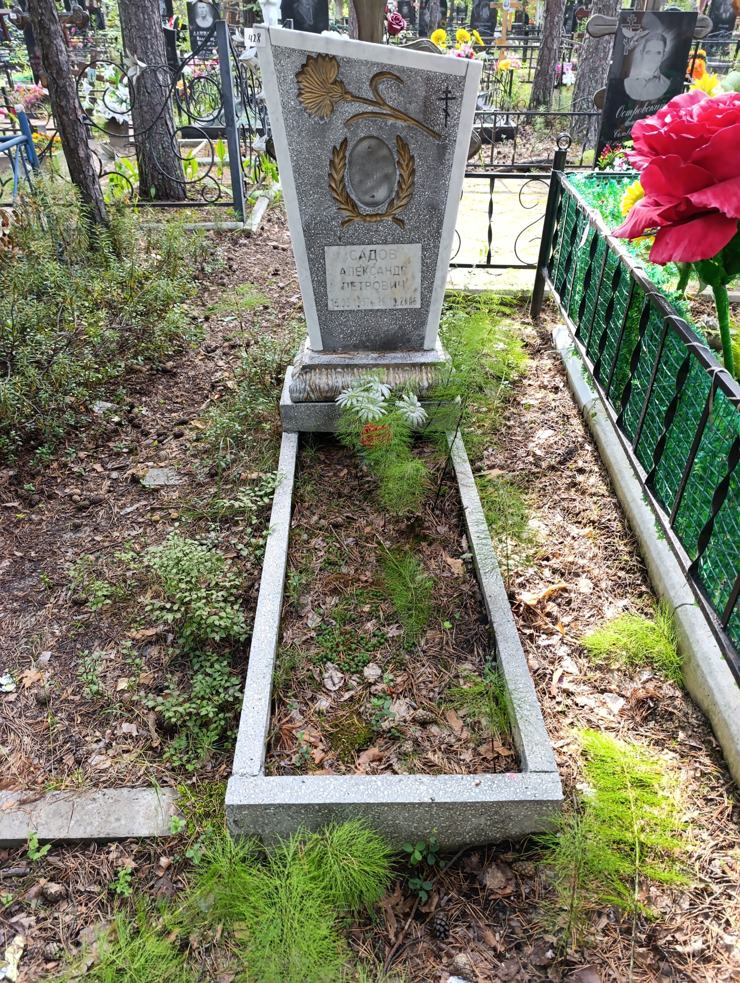 Садов Александр Петрович
