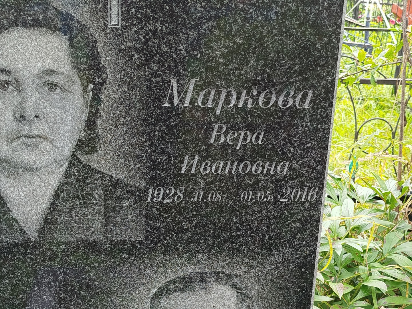 Маркова