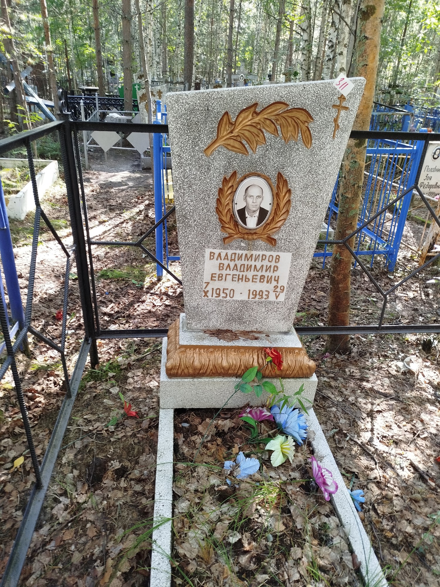 Владимиро Владимир Евгеньевич