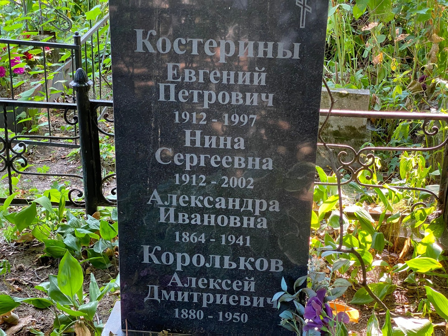 Костерин