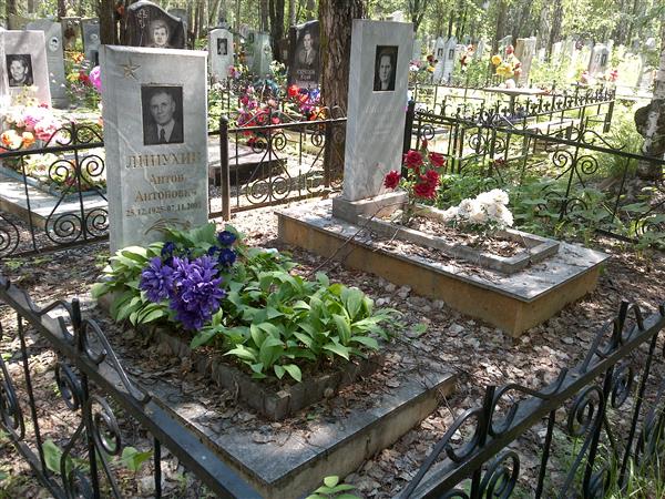 Липухина Анна Павловна