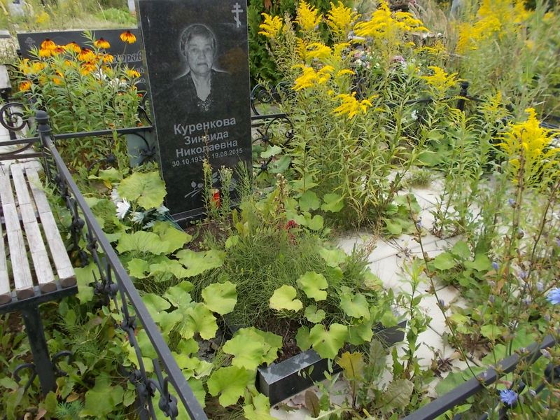 Куренкова Зинаида Николаевна