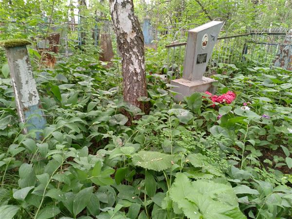Акифьев Владимир Петрович