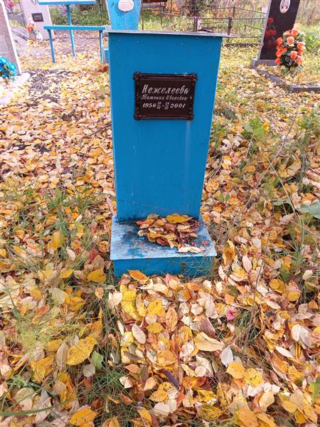 Нежелеева Татьяна Ивановна