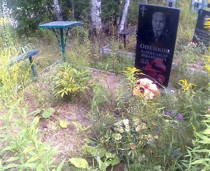 Опенков Александр Иванович
