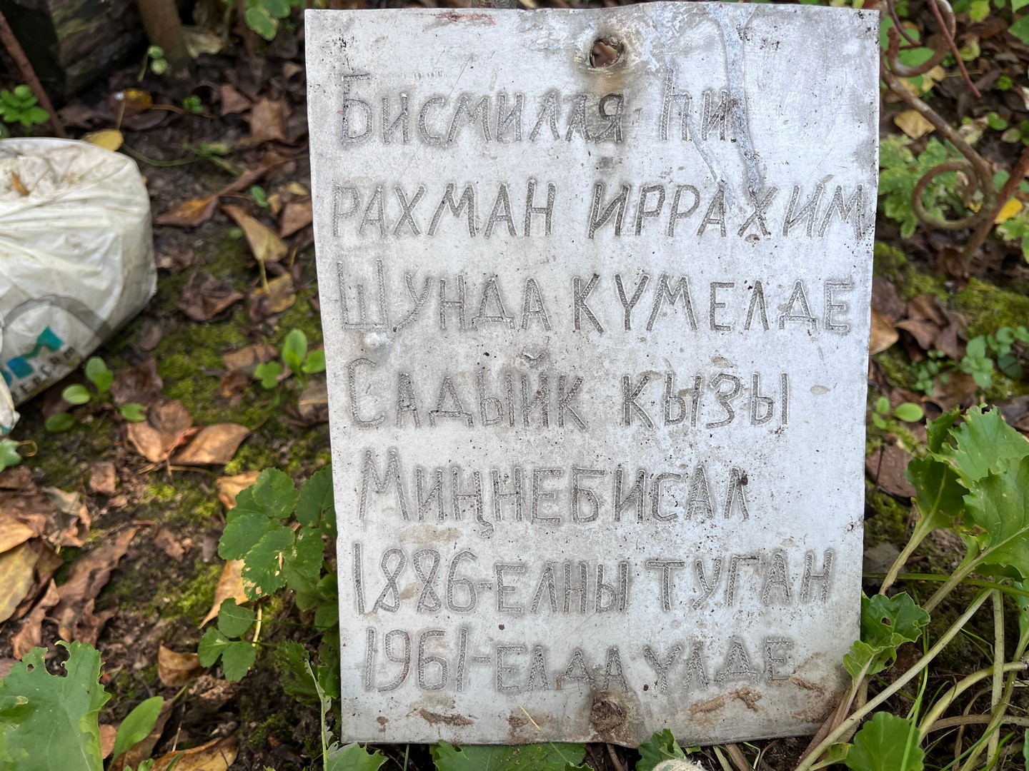 Миннебисал