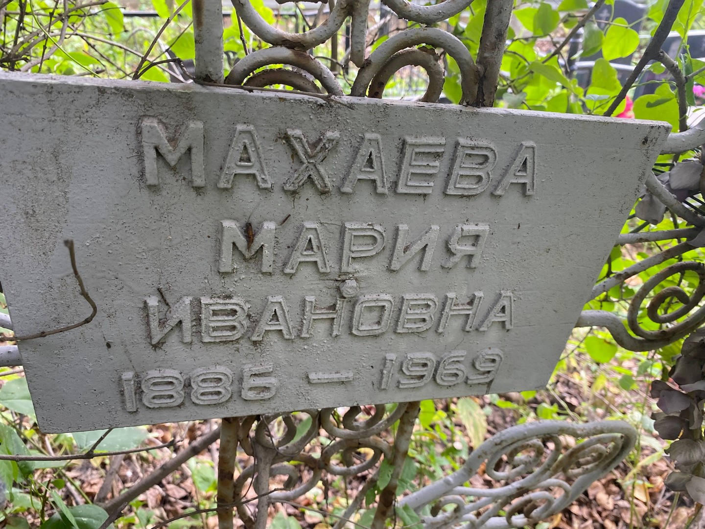 Махаева