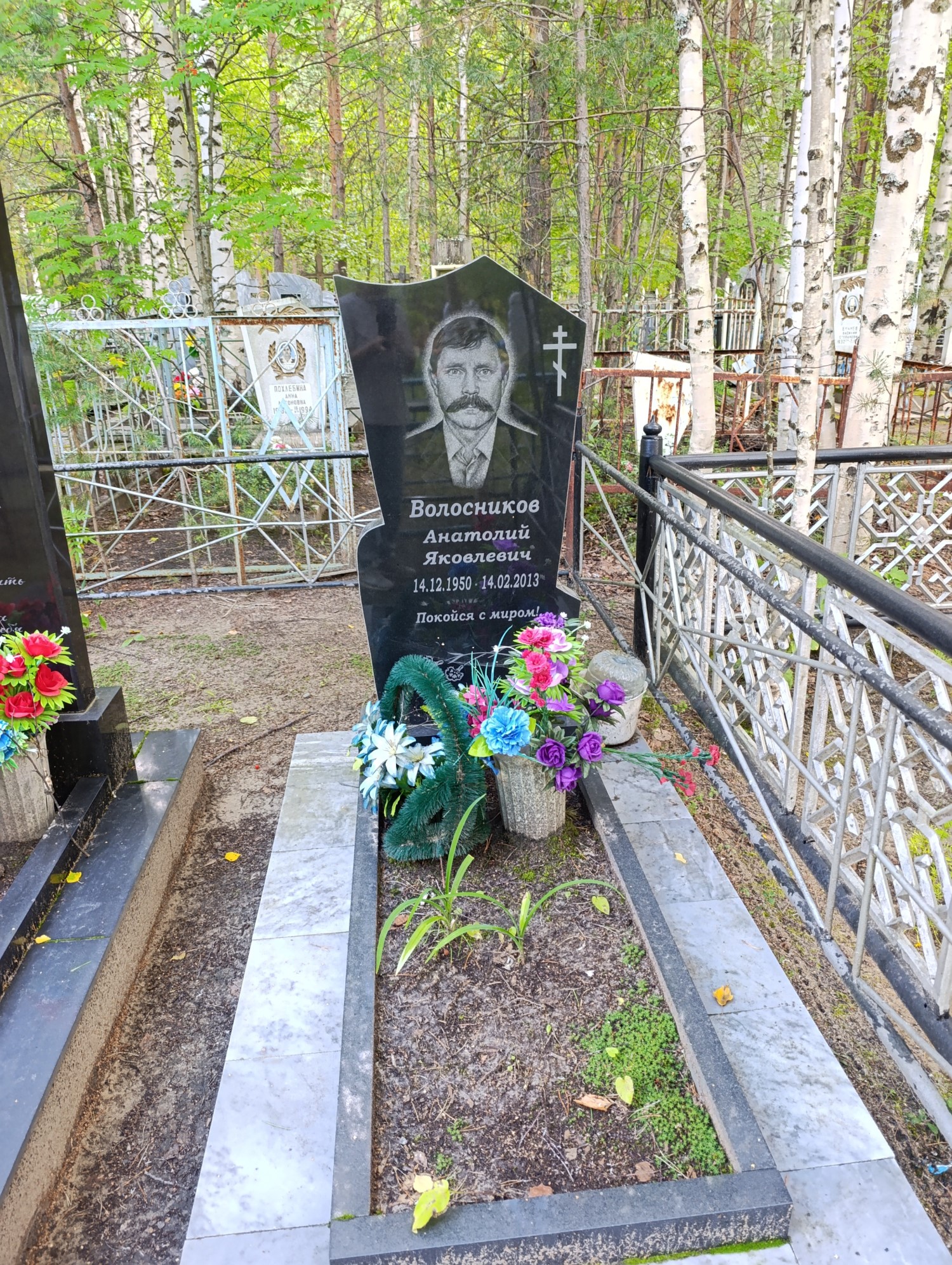 Волосников Анатолий Яковлевич