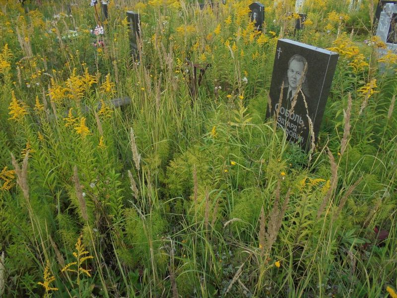 Соболь Эдуард Адольфович