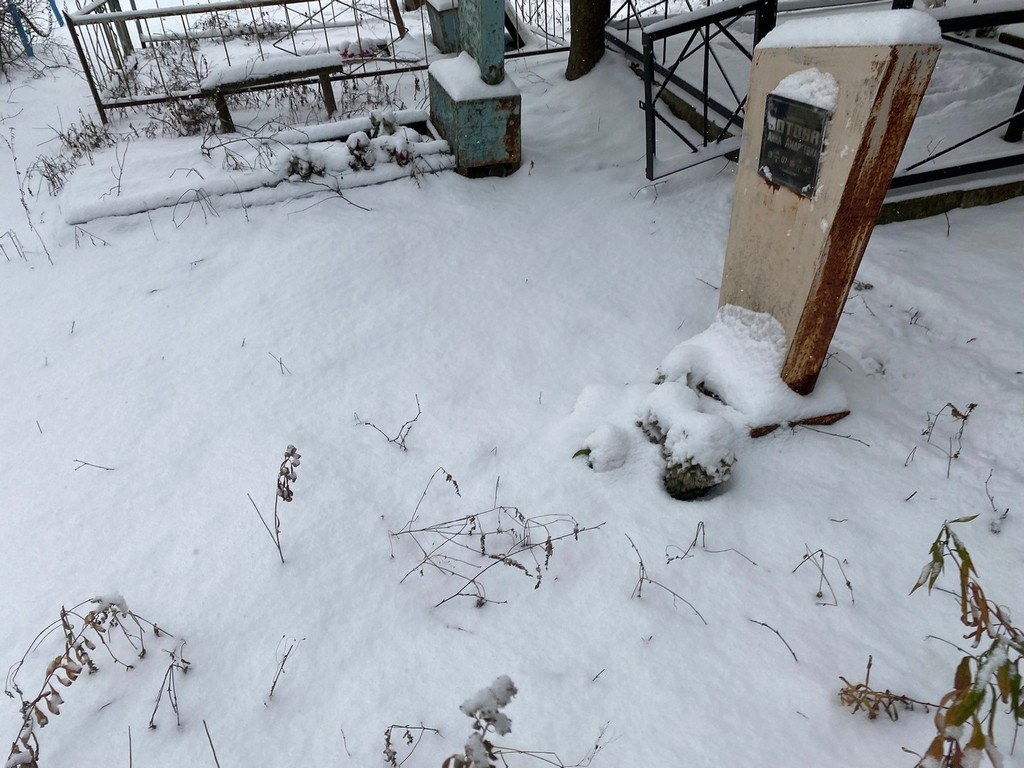 Зотова Анна Андреевна