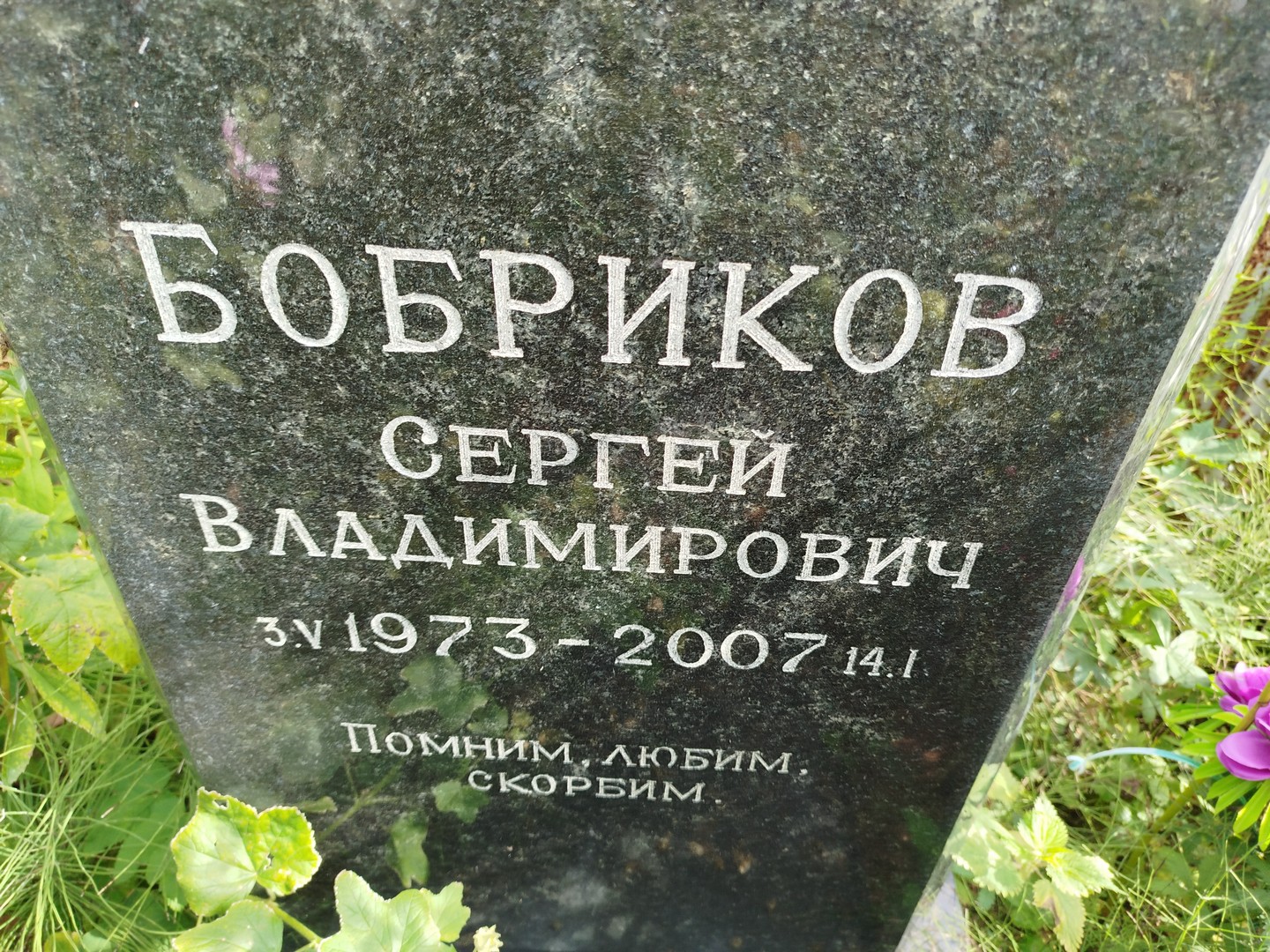 Бобриков