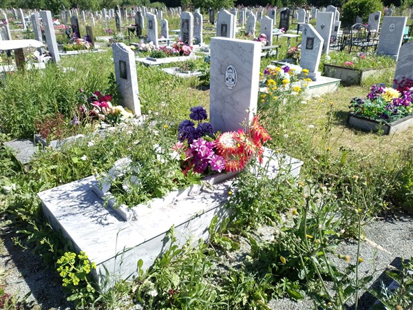 Беляев Виктор Васильевич
