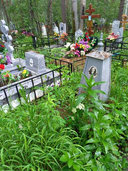 Шибаева Ксения Ивановна
